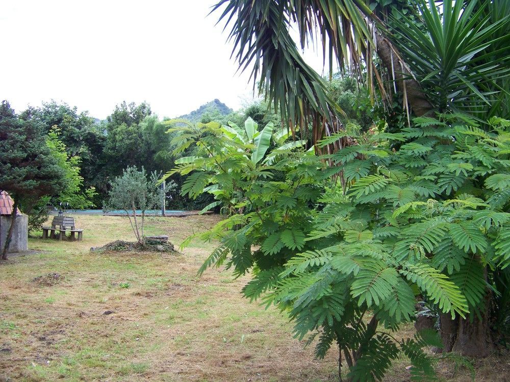 B&B El Jardín de Aes Puente Viesgo Exterior foto